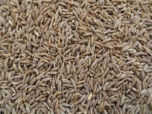 Cumin Seeds