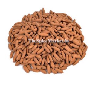 Pine Nuts Inshell