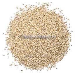 Quinoa Seeds