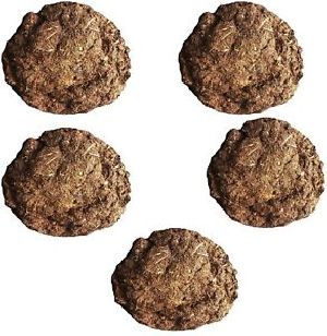 Cow Dung Cake