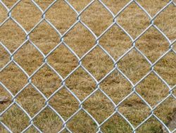 chainlink fencing