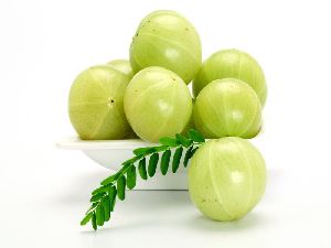 Indian Gooseberry