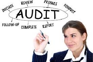 Charities & Not For Profit Organization Audit Services