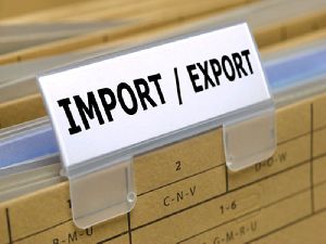 Import & Export Licensing Services