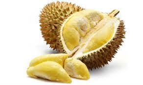 Fresh Durian Fruit