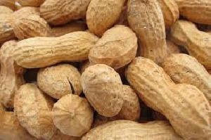 Shelled Groundnuts