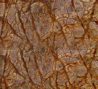 Rainforest Marble