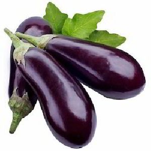 Fresh Brinjal