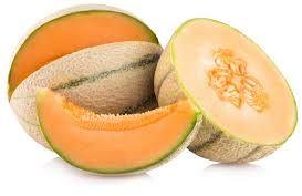 Fresh Muskmelon