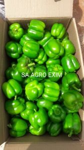 Green Capsicum