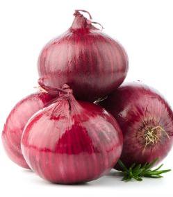 Fresh Onion