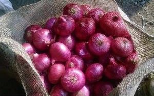 Fresh Red Onion