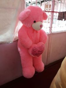 85 CM Long Teddy