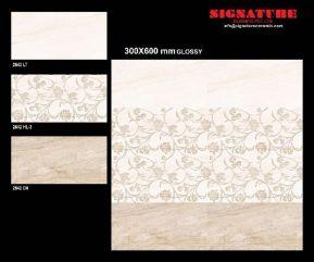 300x600mm Glossy Tiles