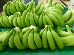 Fresh Green Banana