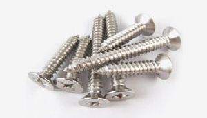 Stainless Steel Self Tapping Screw