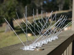 Polycarbonate Bird Spikes