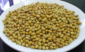 Coriander Seeds