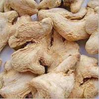 Dry Ginger - (01)