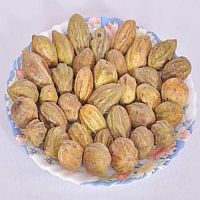 Terminalia Chebula