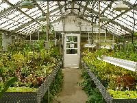 Greenhouses