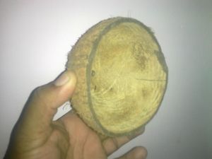 Coconut Shell