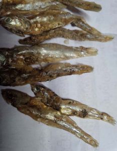 Dried Anchovy