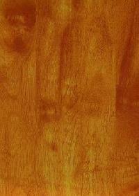 Oak De Italia Laminated Wooden Flooring