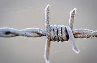 Barbed Wire 02