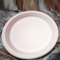 Biodegradable Paper Plates