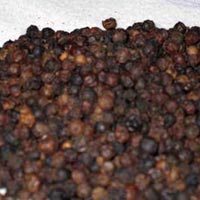 Black Pepper Oil 