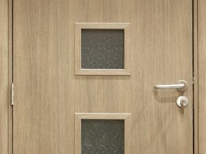 BWP Flush Doors