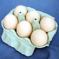 Hen Eggs