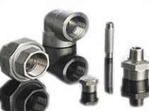 Duplex Steel Forged Pipe Fittings