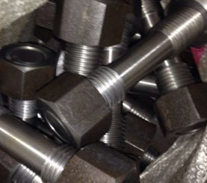 Hastelloy Fasteners