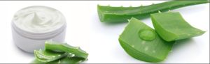 Aloevera