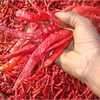 Dried  Red Chilli