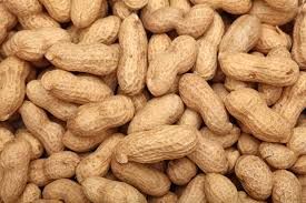 Groundnut Kernel