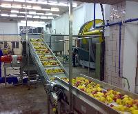 Apple Processing Machinery