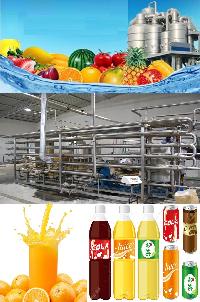 Mango Juice Processing Machinery