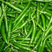 Green Chilli