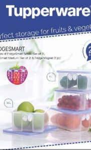 Tupperware Fridgesmart Container