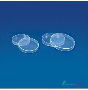 Polypropylene Petri Dish