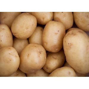 Table Potato