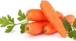 Fresh Carrot