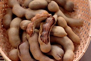 Tamarind Pods