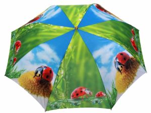 Colorful Umbrella