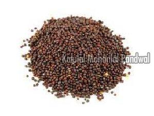 Wholesale Taramira Seeds Supplier Taramira Seeds Distributor In Udaipur India