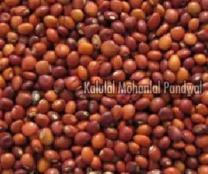 Guar Gum Seeds Supplier Wholesale Guar Gum Seeds Distributor In Udaipur India