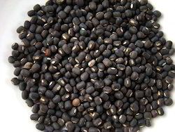 Urad Dal